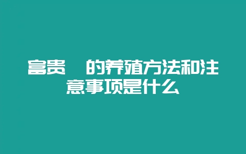 富贵蕨的养殖方法和注意事项是什么-会东网
