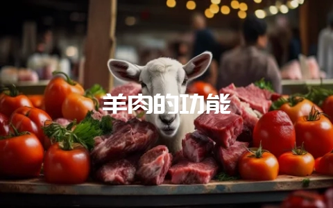 羊肉的功能-会东网