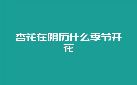会东网:杏花在阴历什么季节开花?-会东网