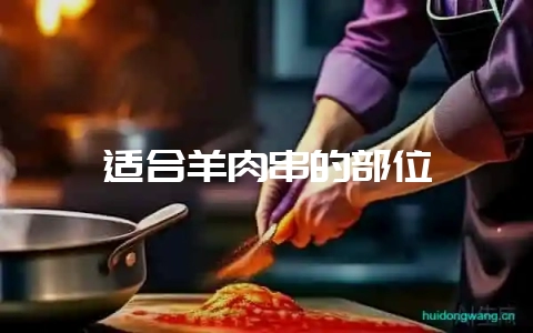适合羊肉串的部位-会东网