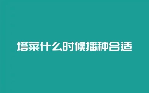 塔菜什么时候播种合适-会东网