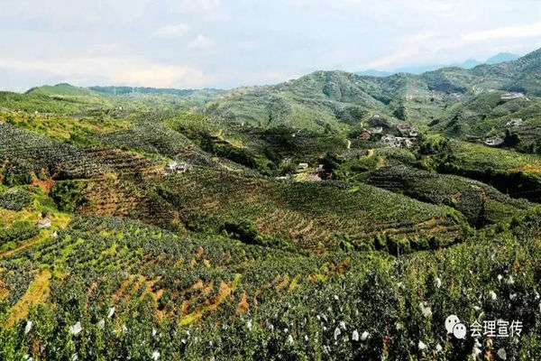 凉山州地图(四川凉山州地图)-会东网