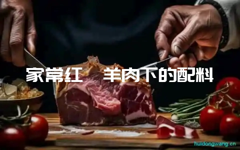 家常红焖羊肉下的配料-会东网