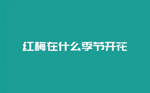 红梅在什么季节开花-会东网