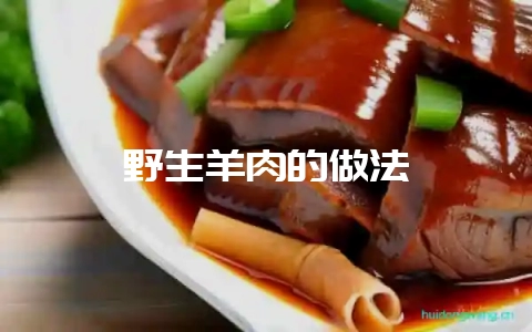 野生羊肉的做法-会东网