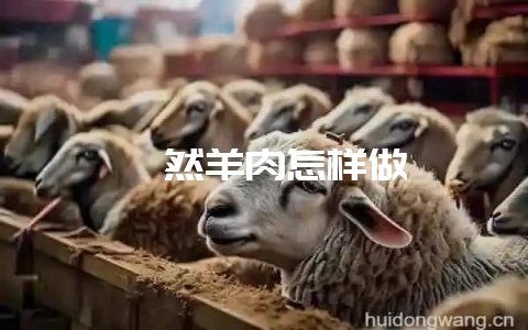 孜然羊肉怎样做-会东网
