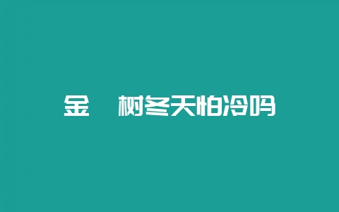 金桔树冬天怕冷吗-会东网