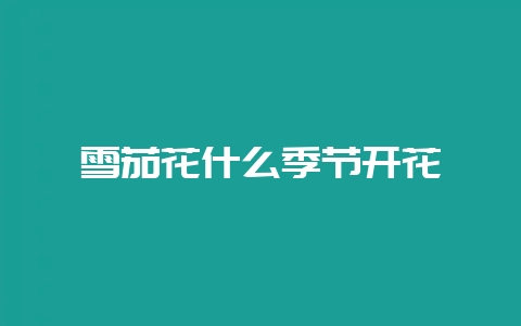 雪茄花什么季节开花-会东网