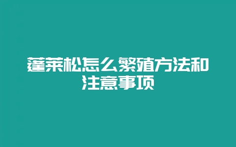 蓬莱松怎么繁殖方法和注意事项-会东网