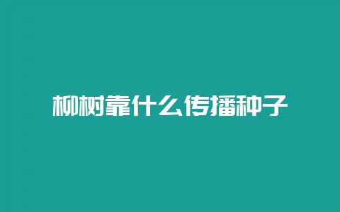柳树靠什么传播种子-会东网