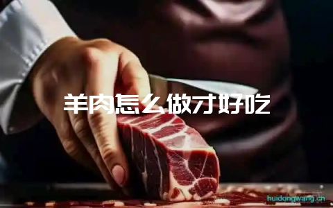 羊肉怎么做才好吃-会东网