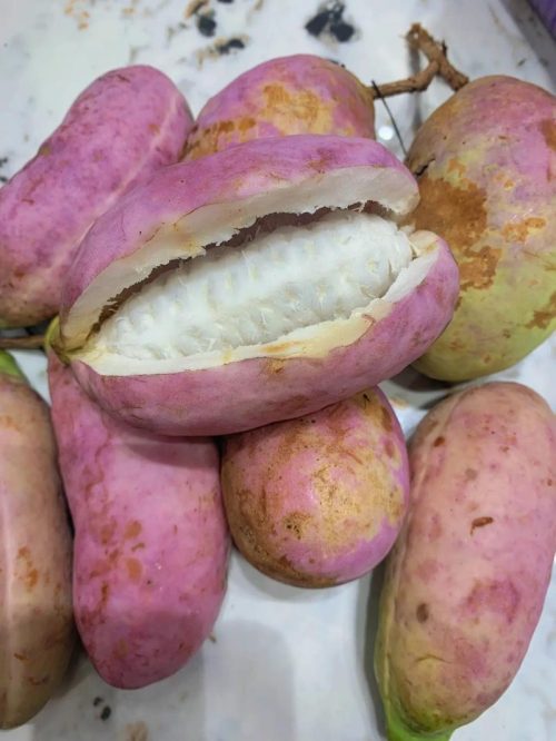 会东网:“九幺黄”八月瓜不止好吃还承载了儿时记忆和情怀插图1 会东网:“九幺黄”八月瓜不止好吃还承载了儿时记忆和情怀插图1