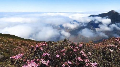 会理市和会理县的区别?插图1 会理市和会理县的区别?插图1