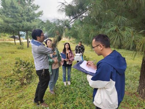 会东松籽:自然馈赠,品质之选插图2 会东松籽:自然馈赠,品质之选插图2