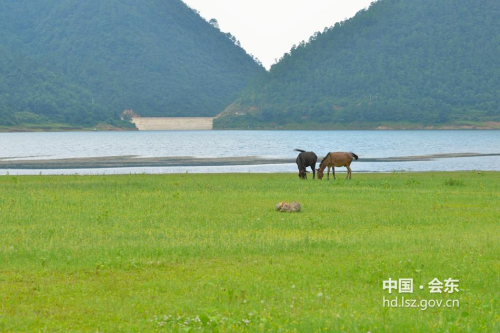 夏天避暑到会东县嘎吉镇龙滩水库插图2 夏天避暑到会东县嘎吉镇龙滩水库插图2