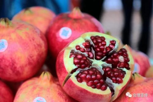 国庆畅游会理：探秘古城文脉，品味多彩民族风情与美食盛宴插图12