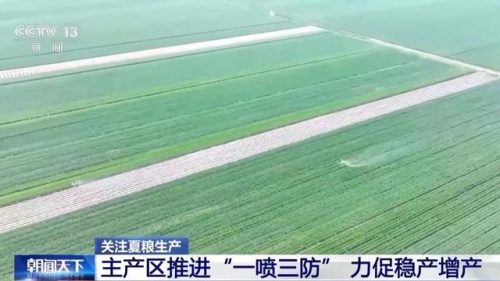 会东旱地小麦创高产纪录，全国小麦“一喷三防”促稳产增产插图4