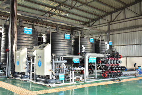 “晴山蓝”2024年产季圆满收官 蓝莓销售额突破亿元大关插图4