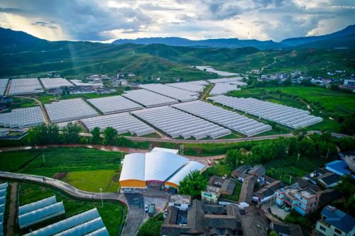 “晴山蓝”2024年产季圆满收官 蓝莓销售额突破亿元大关插图2