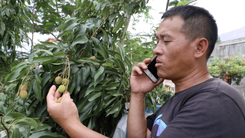 “田秀才”“土专家” 助力乡村全面振兴-会东网