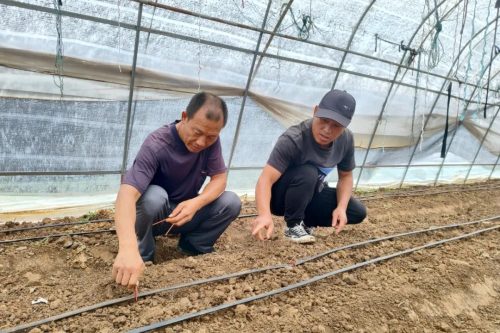 “田秀才”“土专家” 助力乡村全面振兴插图2