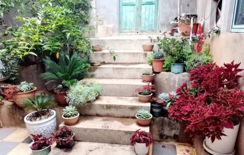 环境综治见效 幸福指数提高——铁柳镇“美丽乡村”行动掠影-会东网