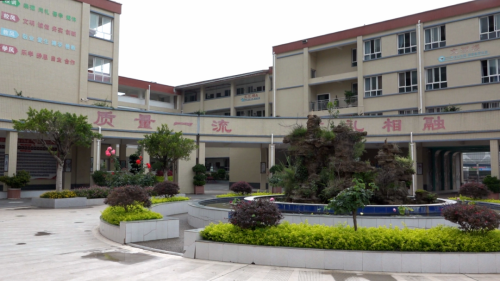 会东：美育教育春风化雨 润育学生茁壮成长插图1