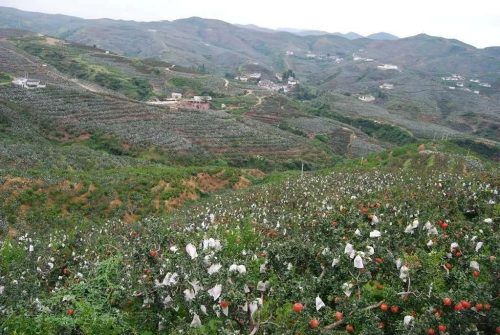 会理市：历史文化名城与资源富集的现代化发展典范插图4