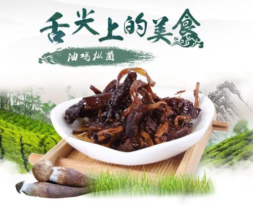 会理市：历史文化名城与资源富集的现代化发展典范插图10