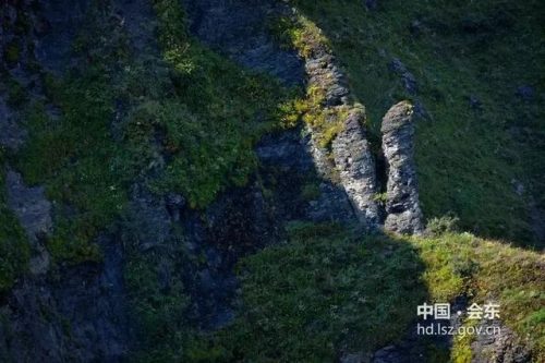 会东仙境大揭秘：淌塘镇的隐秘宝藏——仙人山，等你来撩！插图17