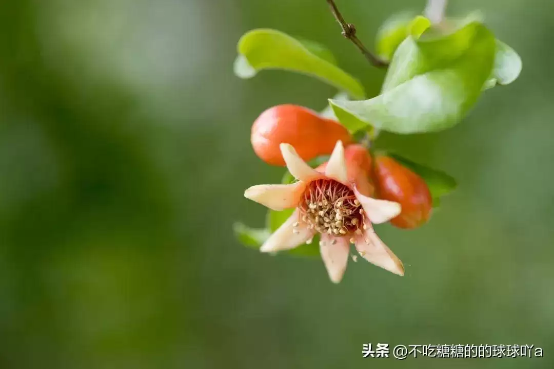 云南美食打卡全攻略，16座城市16种味道插图3