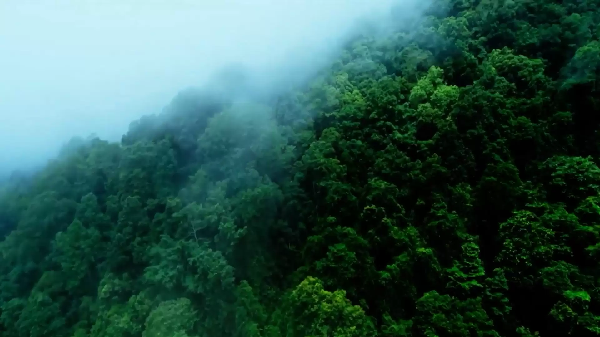 彩云之南，美得不只是风景，还有这些美食插图2