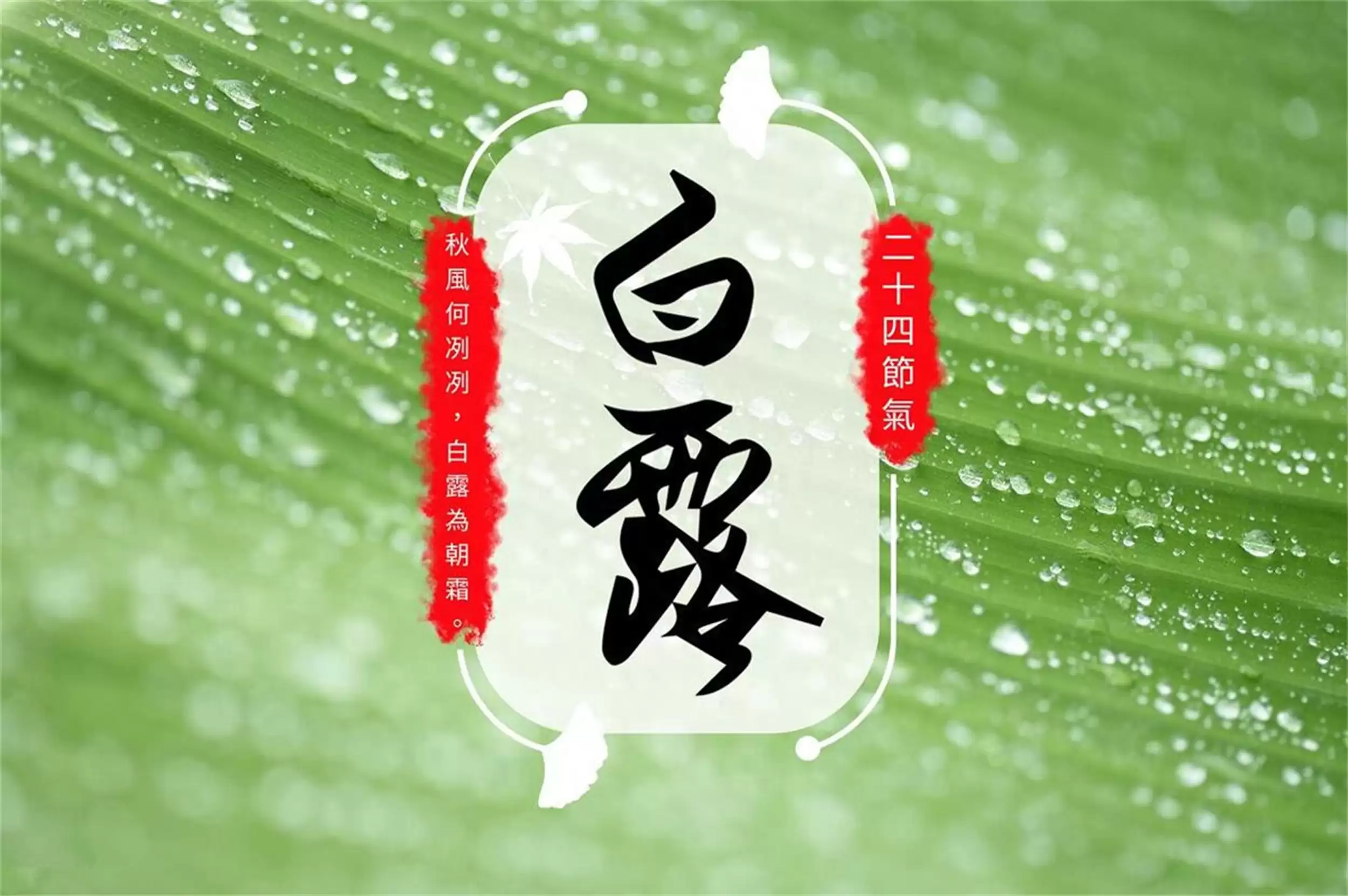 白露饮食指南:尝鲜吃肉蒸薯顺时养生-会东网