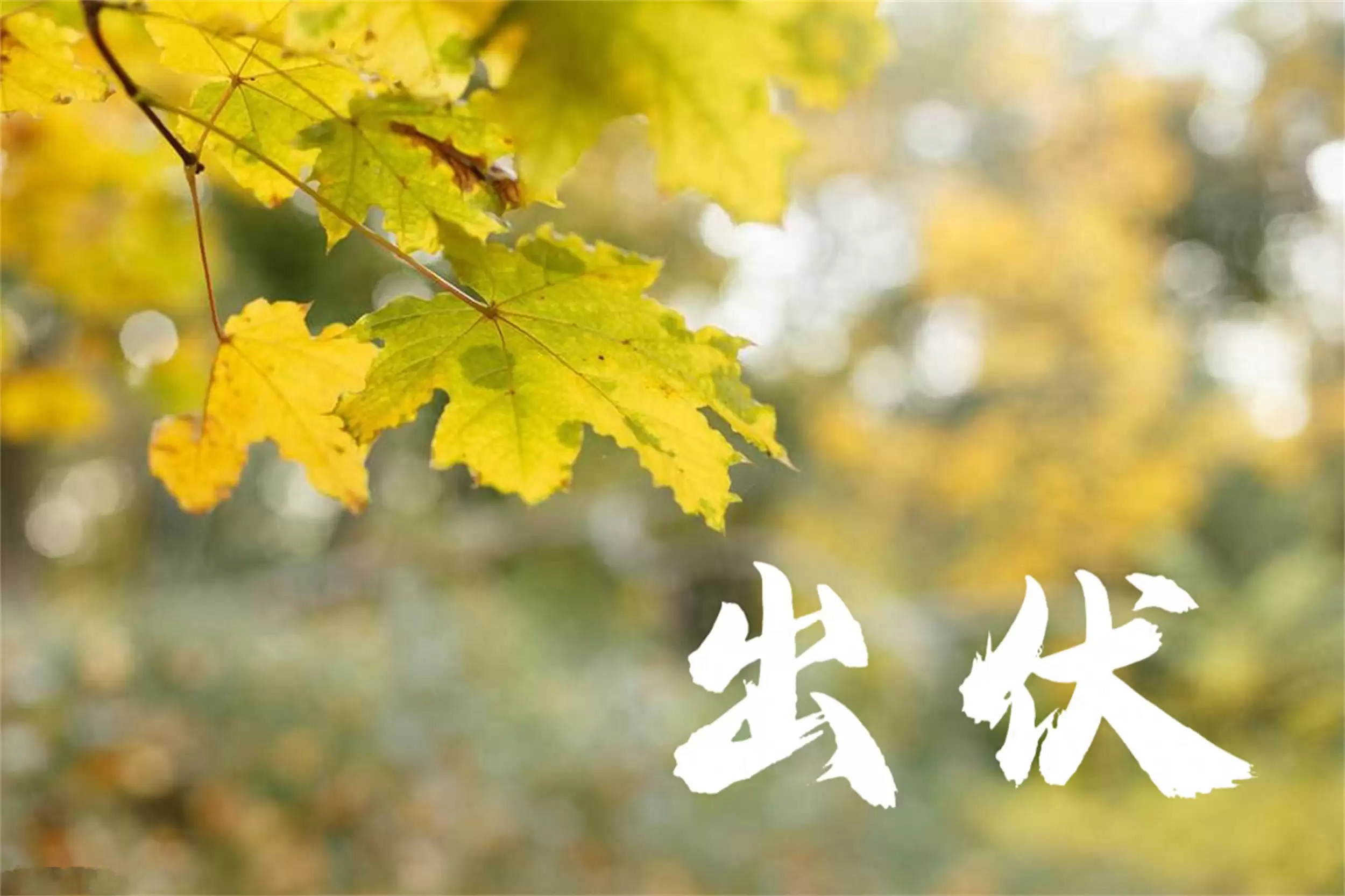 出伏饮食传统:四样食物老有讲究-会东网