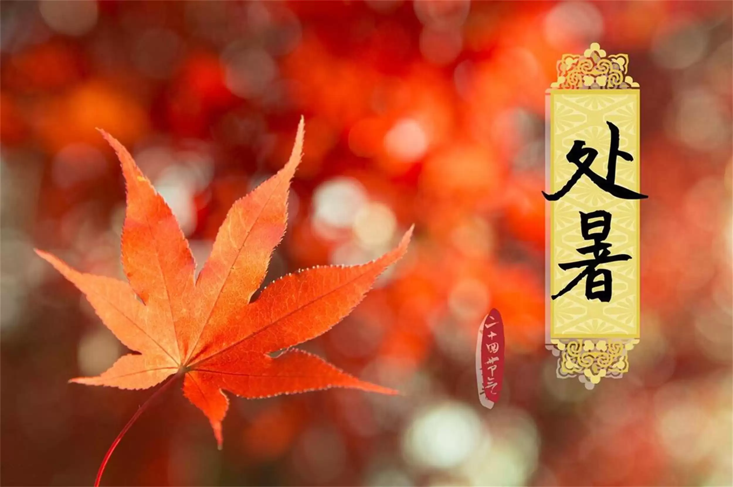 处暑饮食攻略:吃肉尝豆饮品助秋安-会东网