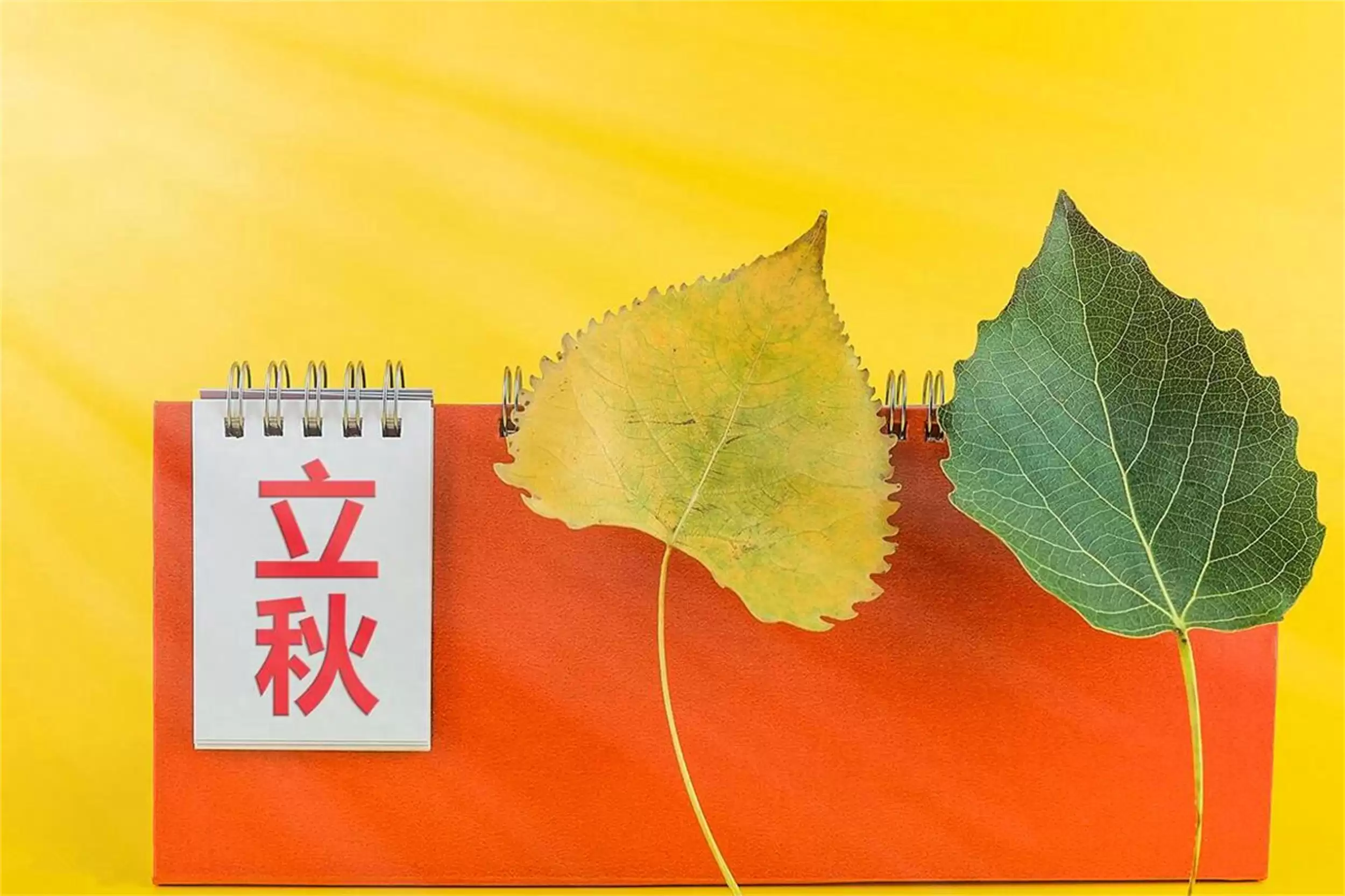 立秋养生:多吃5样“秋果”,平稳入秋-会东网