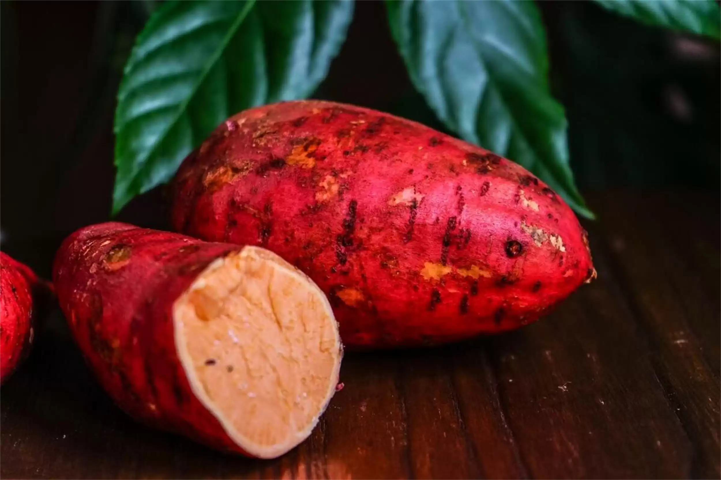 秋吃“根茎食物”，滋补暖身强筋骨插图11