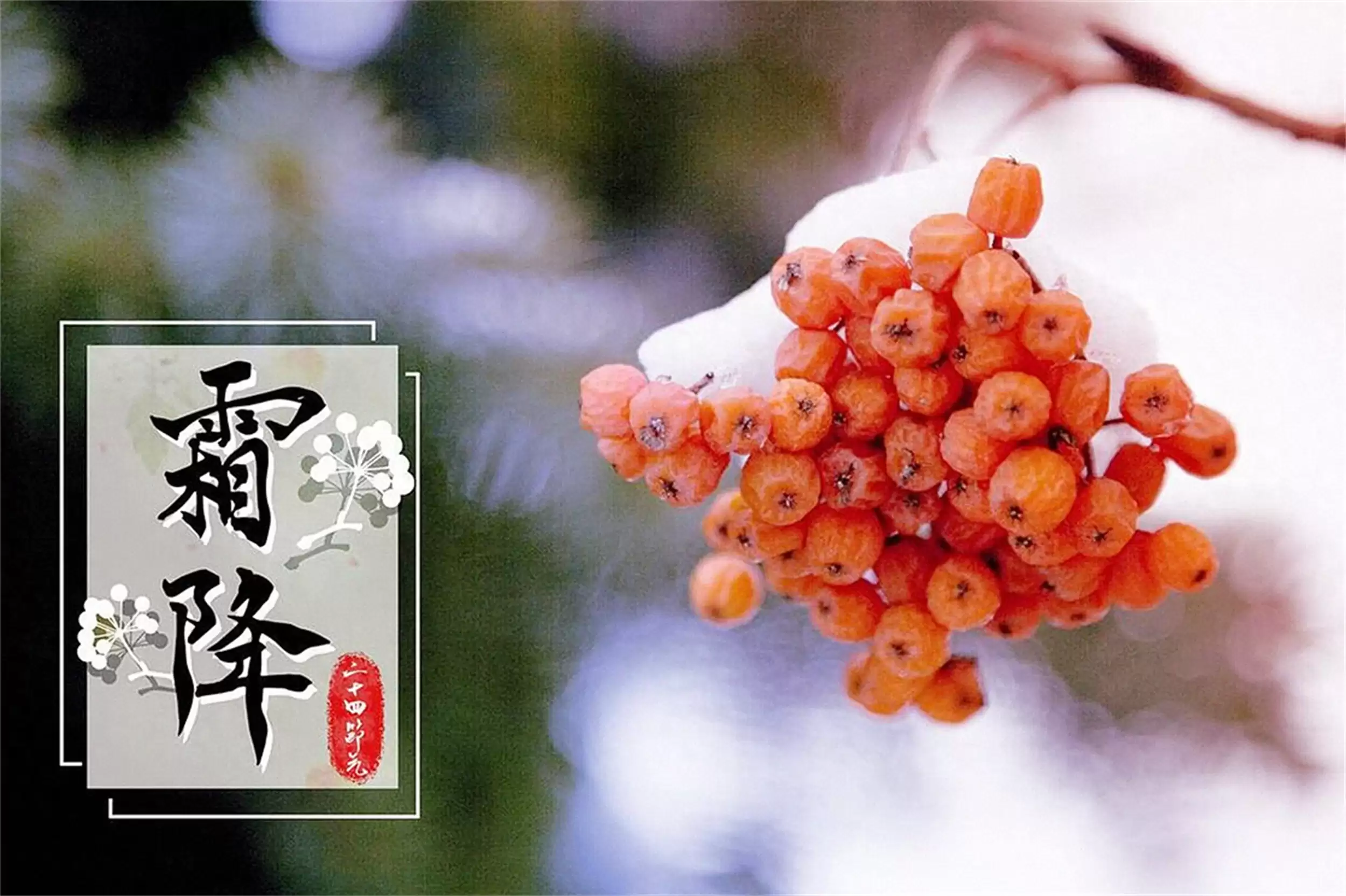 霜降饮食注意:“1避2忌3补”入冬-会东网
