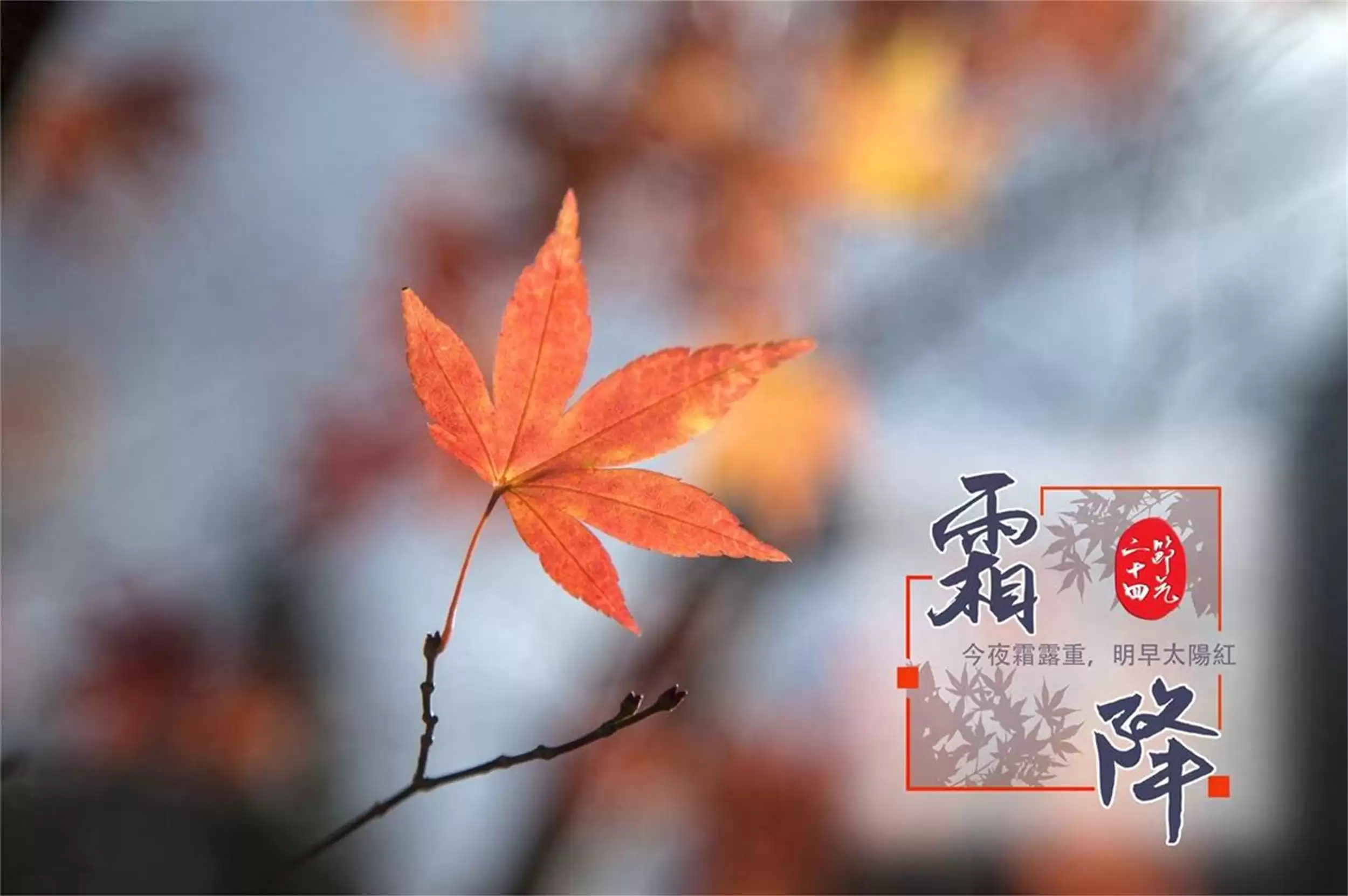 霜降饮食要点:少吃多吃,营养入冬-会东网
