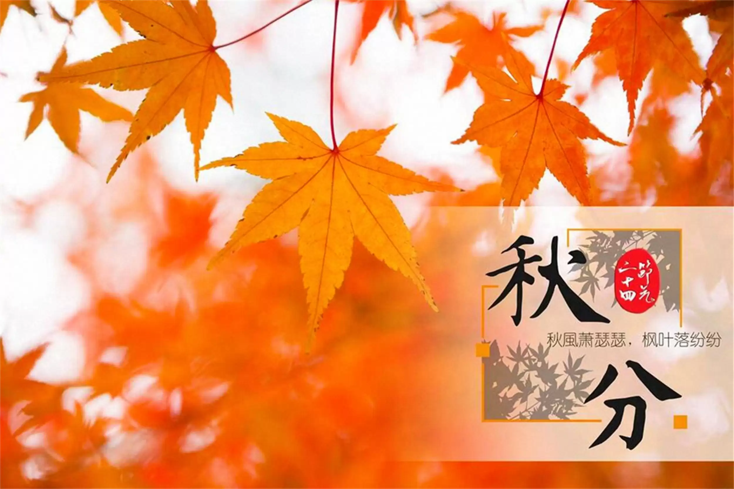 秋分将至,推荐5道秋季养生汤,助力健康-会东网