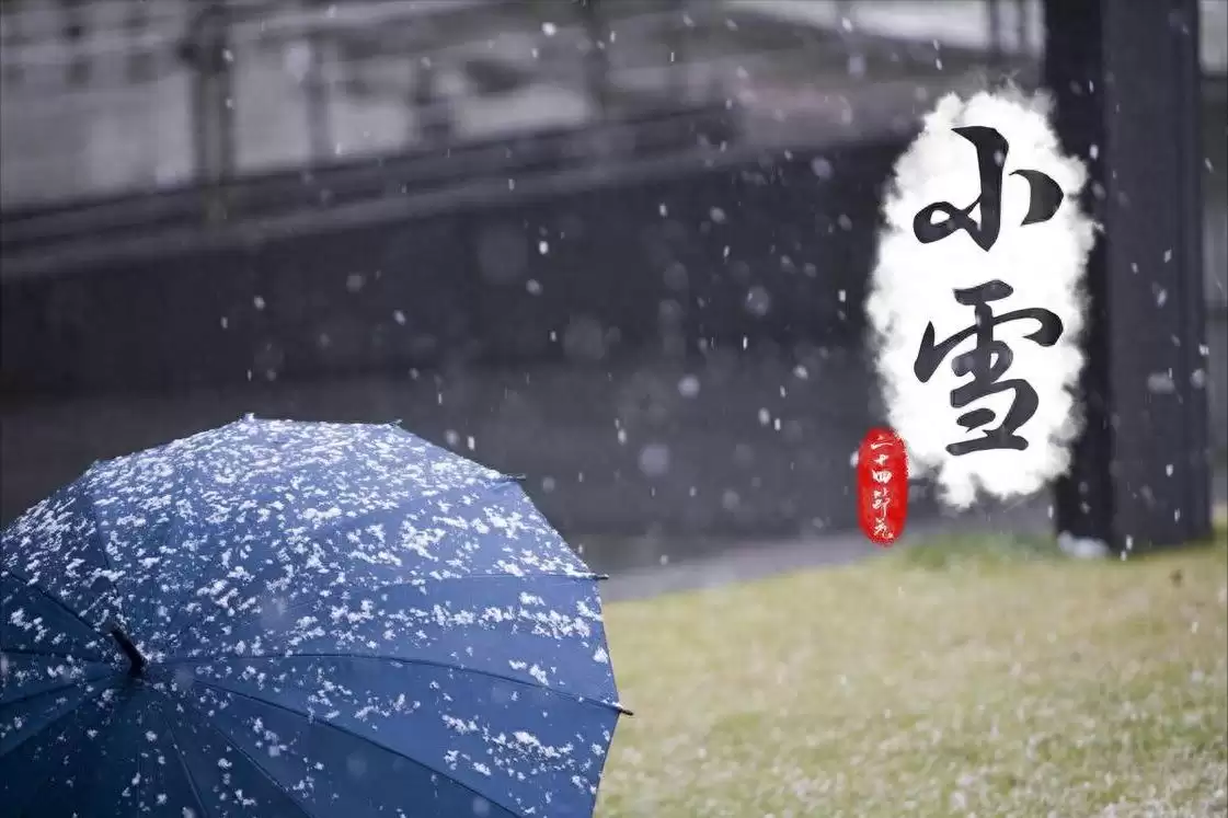 小雪养生食谱:炖肉熬粥抵御寒冷-会东网