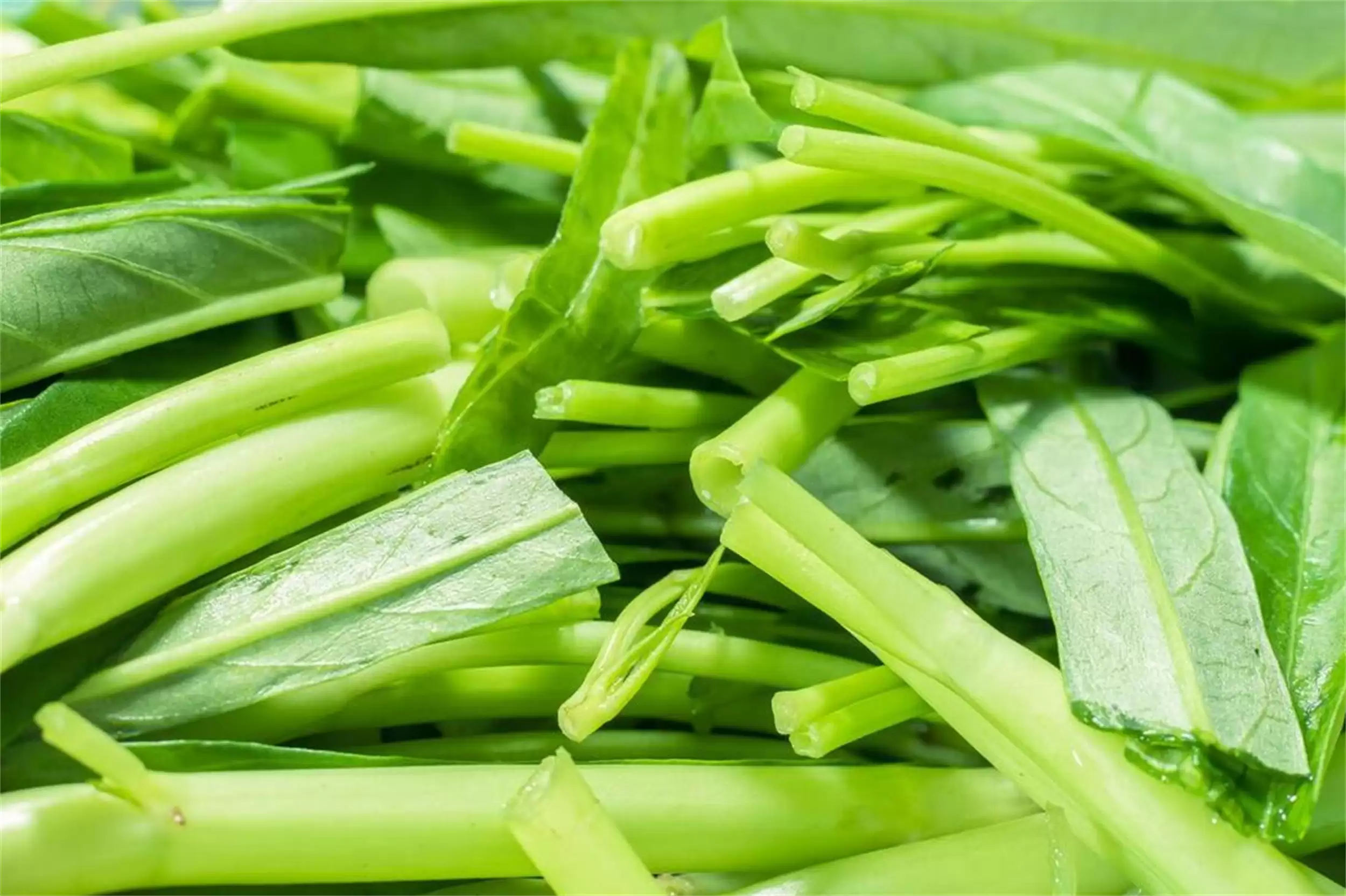 中伏“败心火”指南：食物与吃法推荐插图10