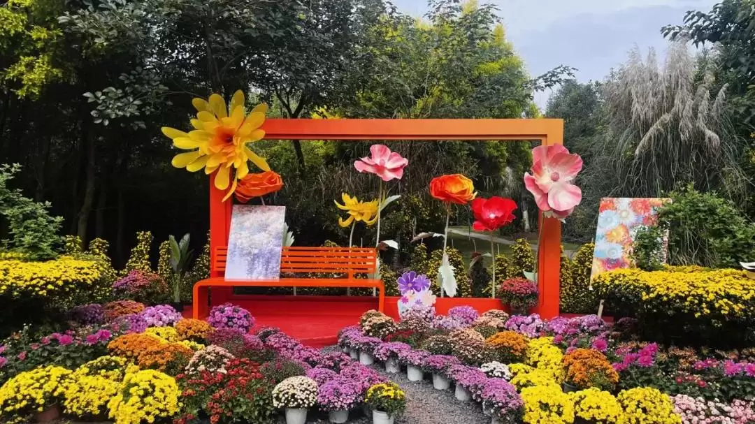 西昌菊展盛大开幕，135种37000多盆菊花惊艳全场！插图9