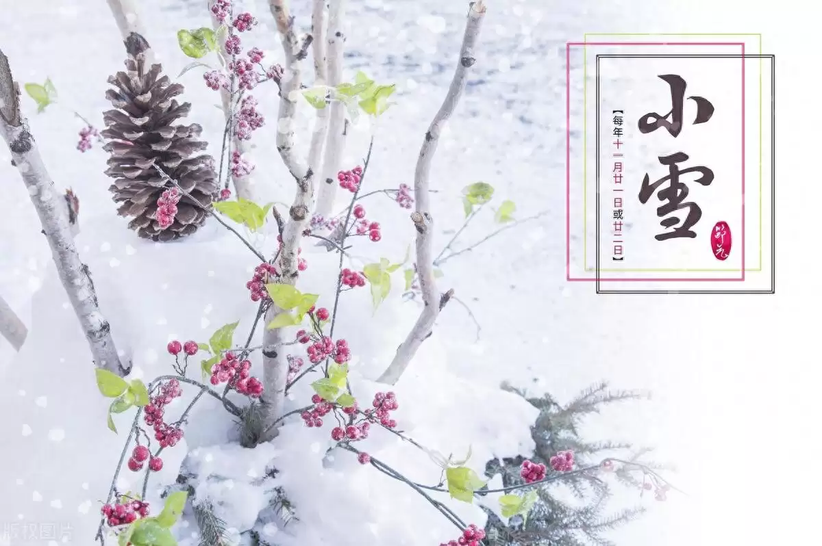 小雪时节饮食指南，4种“黄金菜”别错过-会东网