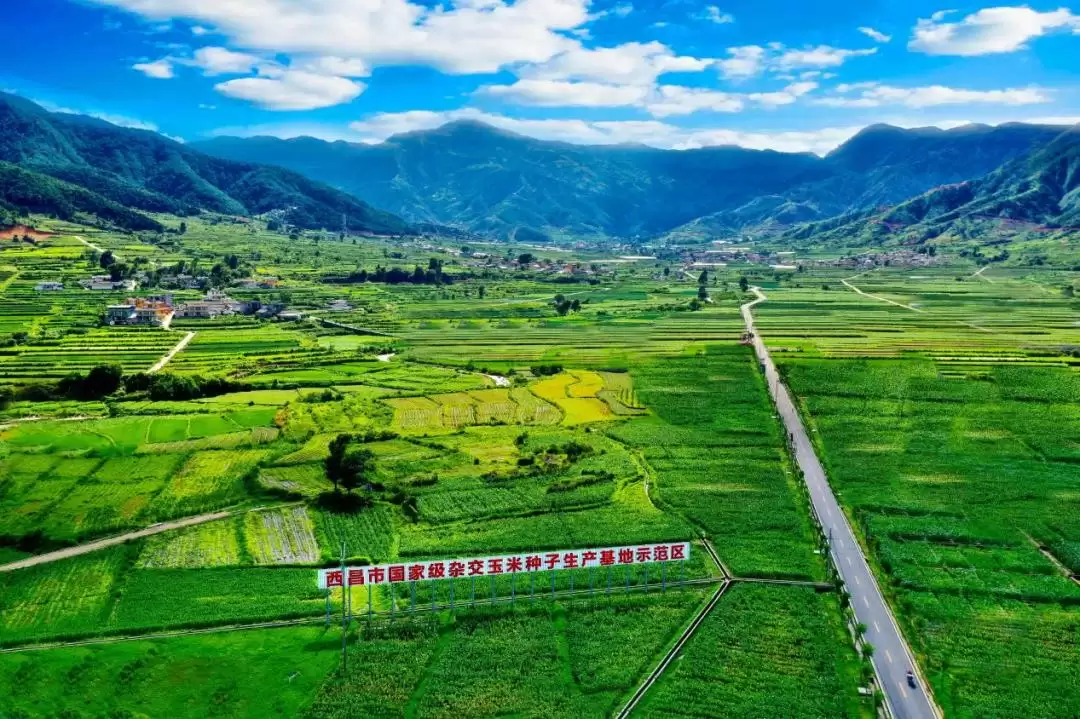西昌理想人居生活等你来，开启美好居住新体验！插图32