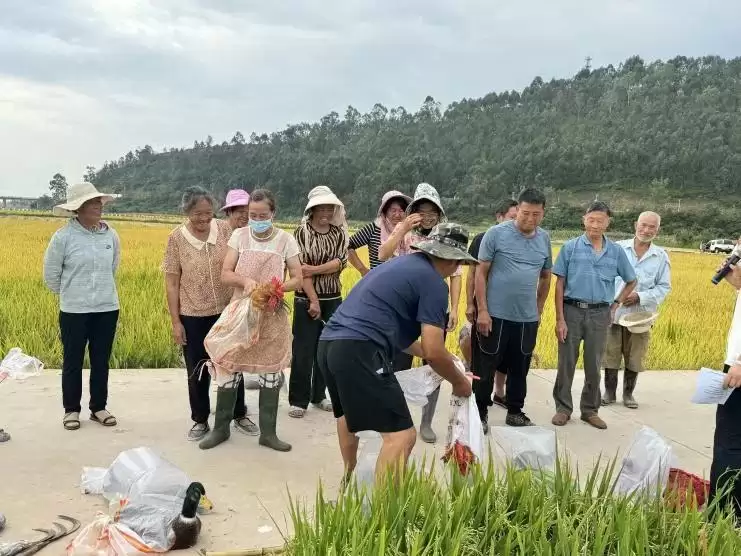 丰收时节西昌多彩活动，共庆岁稔年丰新景象！插图5