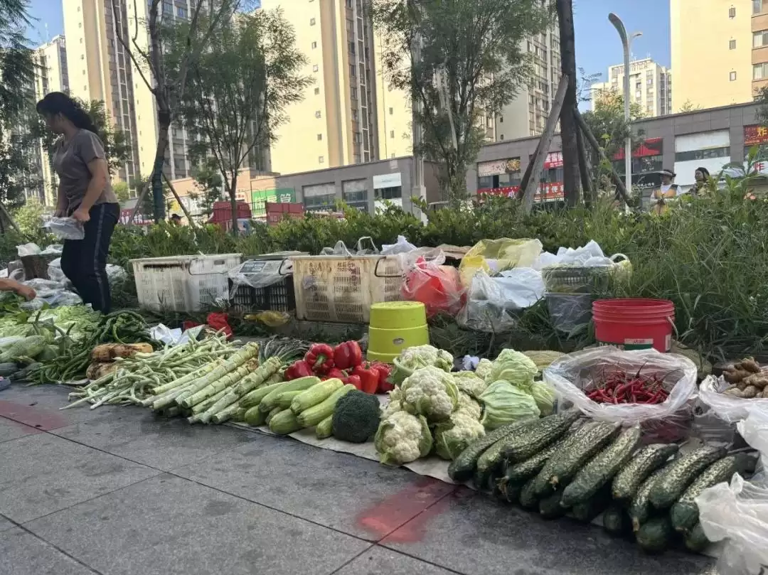西昌西部新城便民菜市场过渡点正式启用便民！插图5