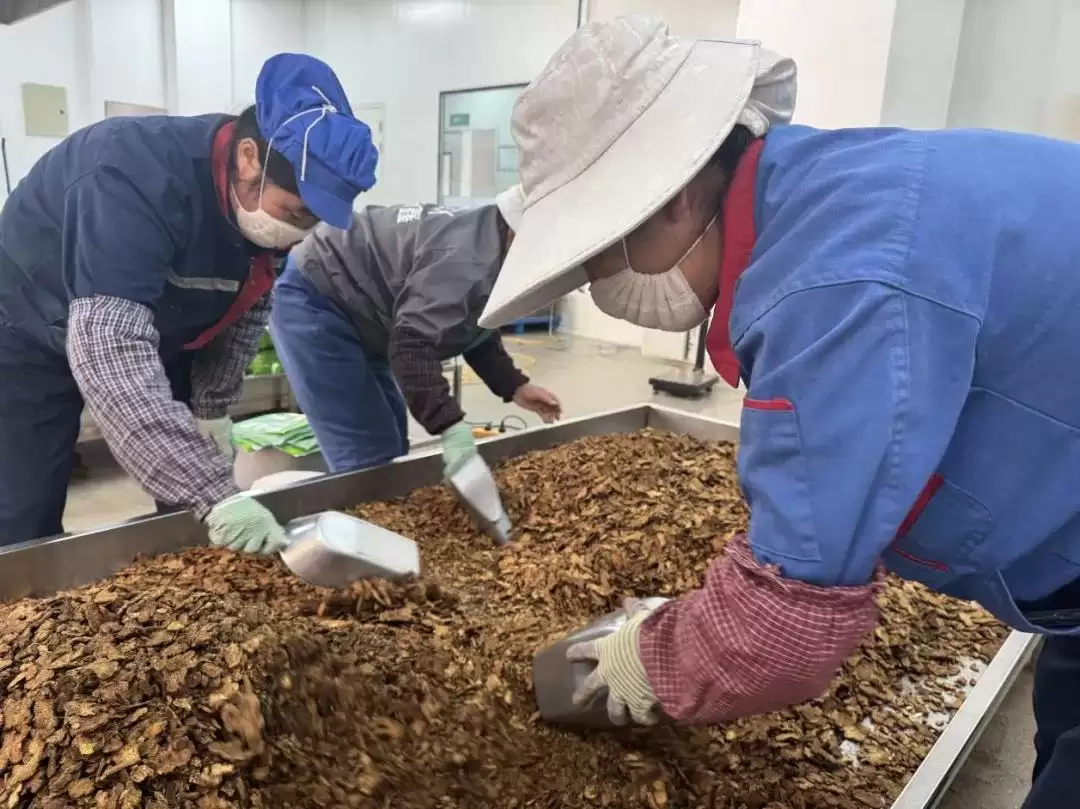 凉山新鑫中药饮片四季度冲刺，生产马力全开启！插图2
