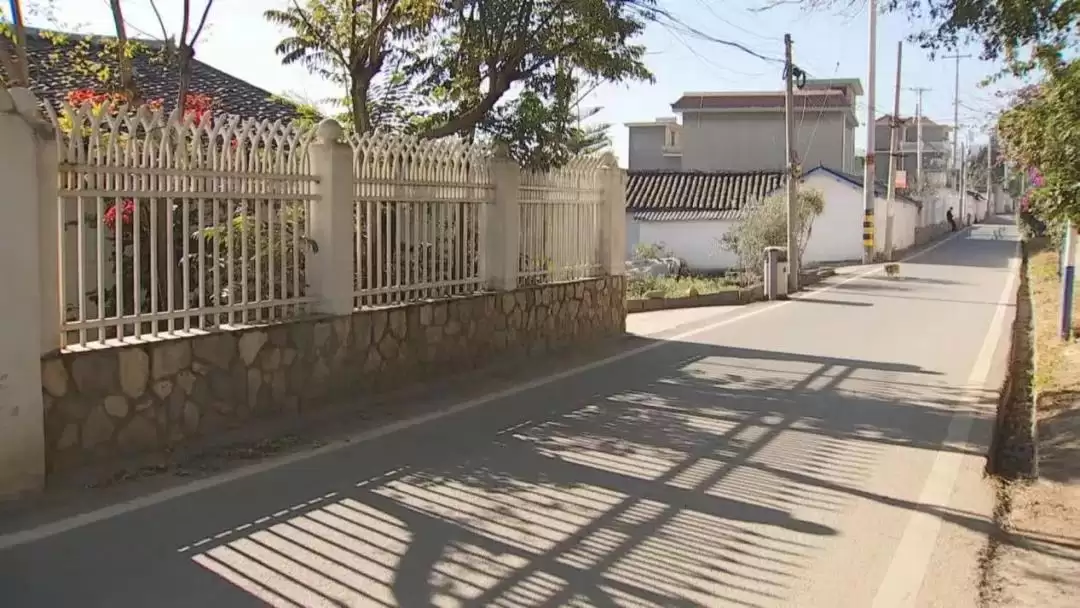 西昌持续推进绿色发展，加快建设美丽宜居城市！插图10