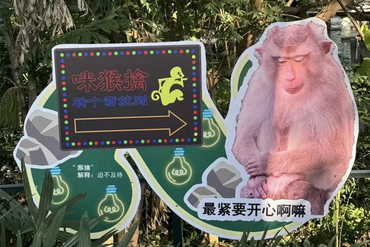 四大“松弛感”省份，悠闲生活引向往插图4